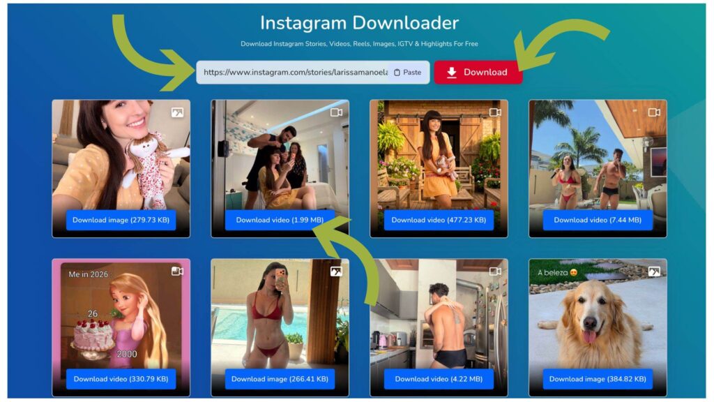 instagram stroy viewer
